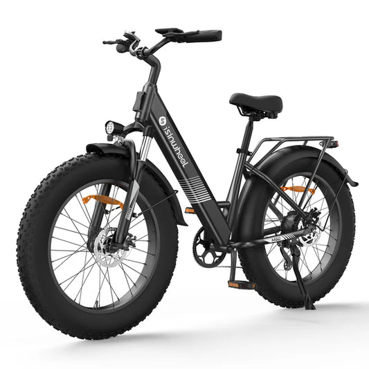isinwheel M60 750W All-terrain Electric Bike