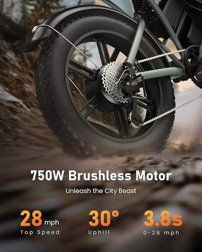 Cycrown Hunter Moped-Style Ebike