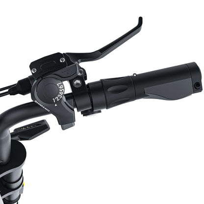COSWHEEL CT20S Ebike