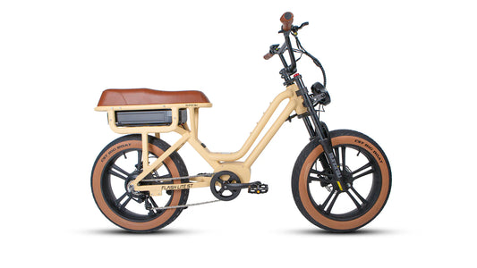 EUNORAU Flash Lite ST Electric Bike – Step-Thru Urban Cruiser eBike 750W