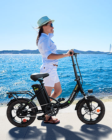 Isinwheel U4 Folding Electric Bike