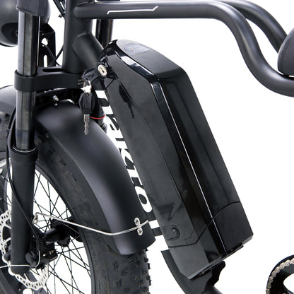 NAKTO Fat Tire Ebike F2