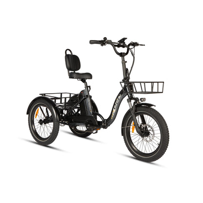 EUNORAU ONE-TRIKE 2.0 Electric Trike – 500W Step-Thru Cargo eTrike
