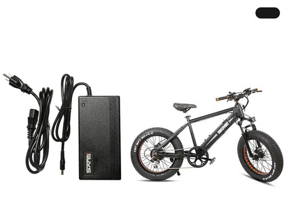 NAKTO Electric Bike Charger – Compatible with Discovery, Santa Monica