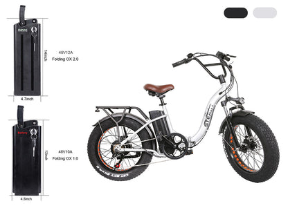NAKTO Folding OX e-bike with replacement battery