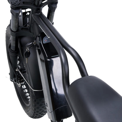 NAKTO Fat Tire Ebike F2