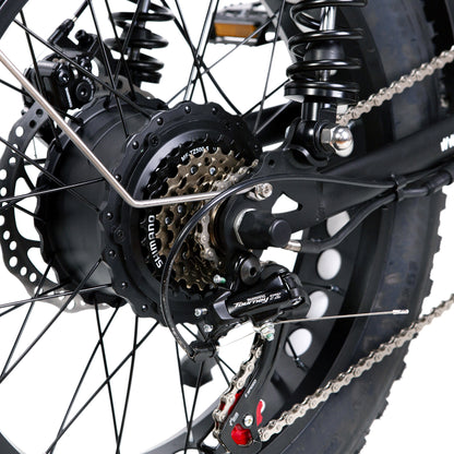 NAKTO Fat Tire Ebike F2