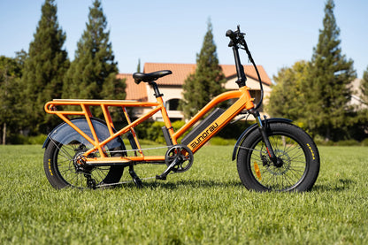 EUNORAU G30-CARGO Electric Bike – 750W Long-Range Utility eBike