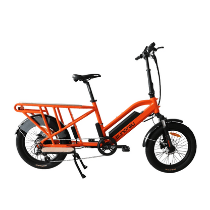 EUNORAU G30-CARGO Electric Bike – 750W Long-Range Utility eBike