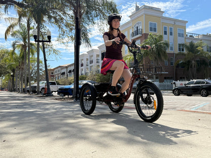 EUNORAU ONE-TRIKE 2.0 Electric Trike – 500W Step-Thru Cargo eTrike