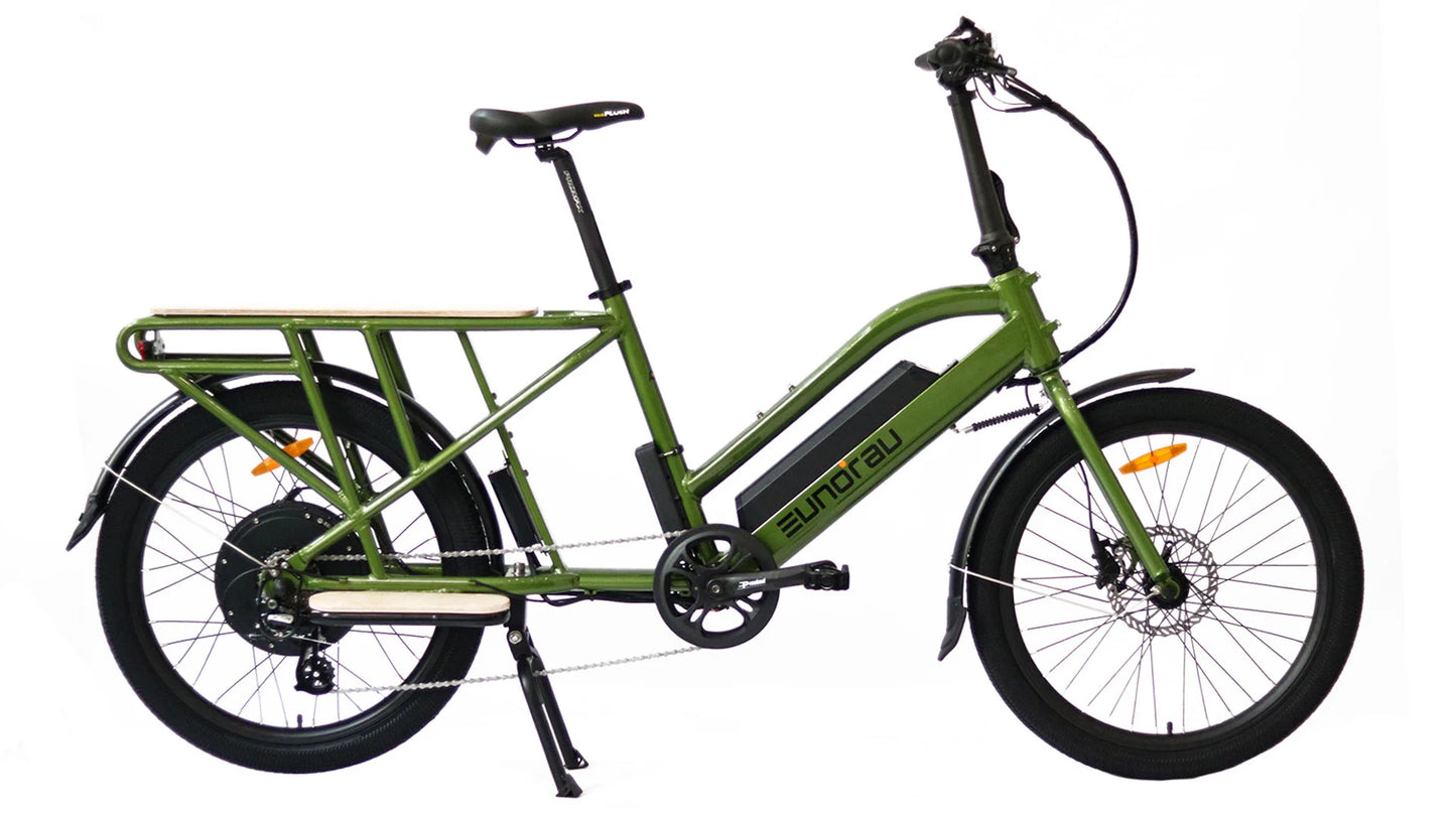 EUNORAU MAX-CARGO Electric Bike – 750W Long-Tail Utility eBike
