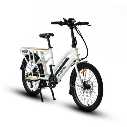 EUNORAU MAX-CARGO Electric Bike – 750W Long-Tail Utility eBike