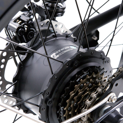 NAKTO Fat Tire Ebike F2