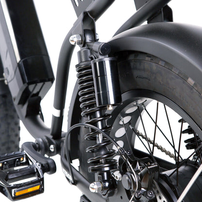 NAKTO Fat Tire Ebike F2