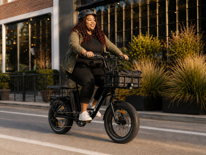 isinwheel U7 Cargo Bike – photo 2