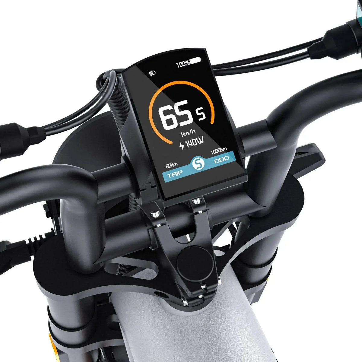 COSWHEEL CT20S EbikeElectric BicycleEvolveRide