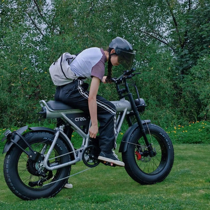 COSWHEEL CT20S EbikeElectric BicycleEvolveRide