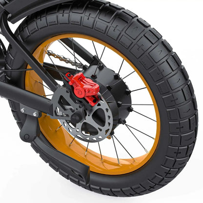 COSWHEEL GT20 MAX EBIKEElectric BicycleEvolveRide