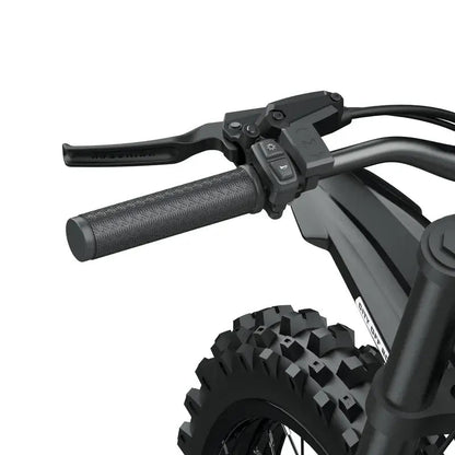COSWHEEL R19 Electric Dirt BikeElectric BicycleEvolveRide