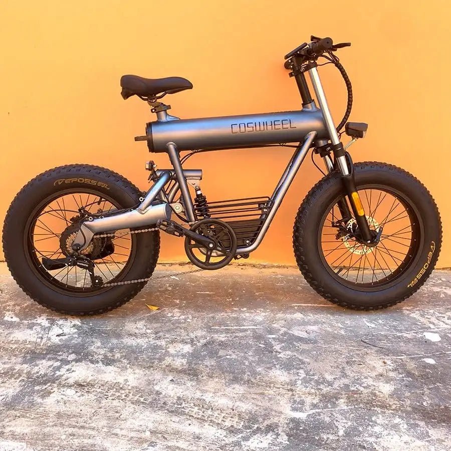 COSWHEEL T20 EBIKEElectric BicycleEvolveRide