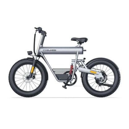 COSWHEEL T20 EBIKEElectric BicycleEvolveRide