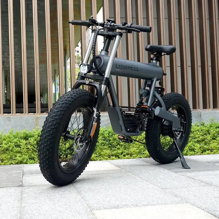 COSWHEEL T20 EBIKEElectric BicycleEvolveRide