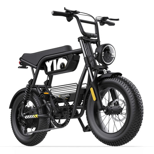 COSWHEEL Y16 EBIKEElectric BicycleEvolveRide
