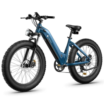 Cycrown Verve Fat Tire EbikeElectric BikeEvolveRide