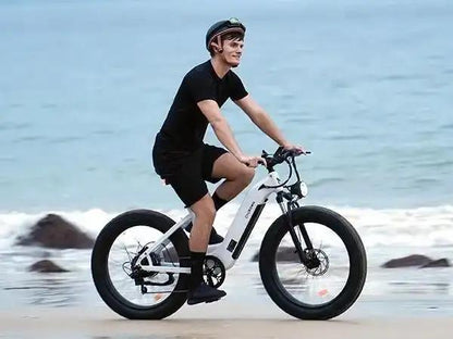 Cycrown Verve Fat Tire EbikeElectric BikeEvolveRide