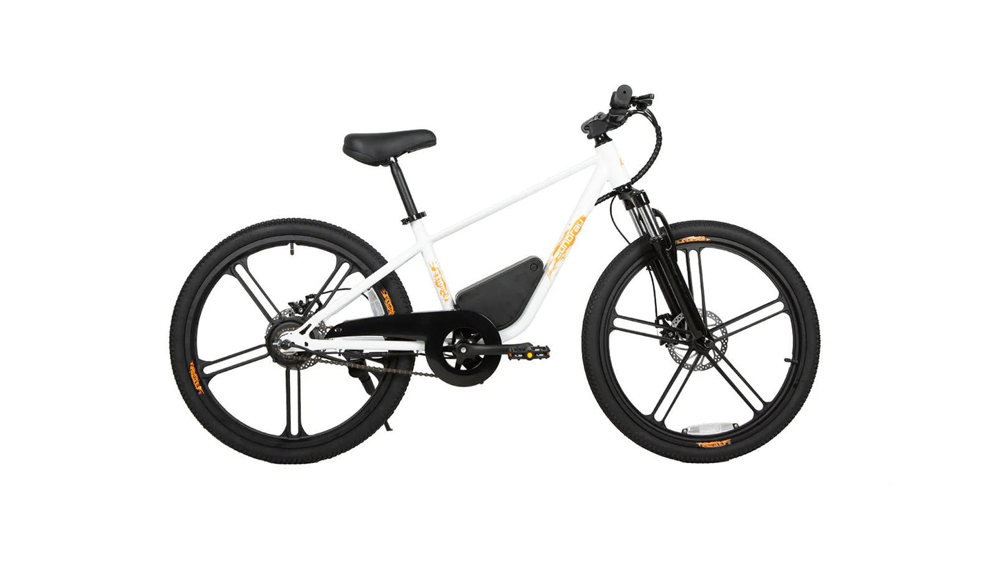 EUNORAU EKIDS-24 Electric Bike – 350W Youth eBike for Teens & KidsEvolveRide