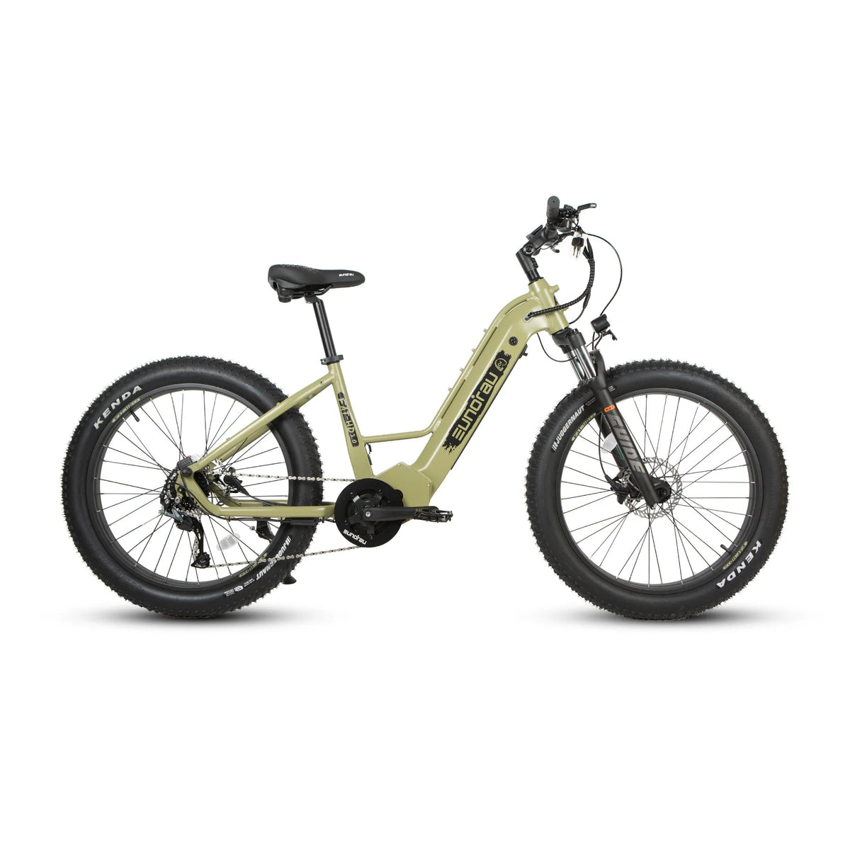 EUNORAU FAT-HD 2.0 Electric Bike – 1000W Mid-Drive Fat Tire eBikeEvolveRide