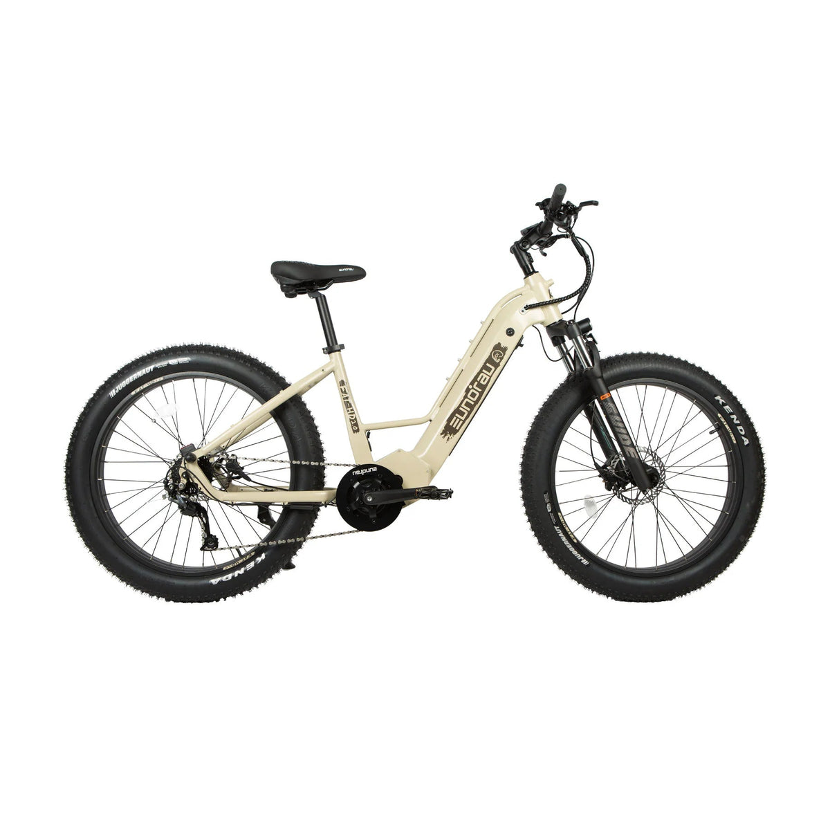 EUNORAU FAT-HD 2.0 Electric Bike – 1000W Mid-Drive Fat Tire eBikeEvolveRide