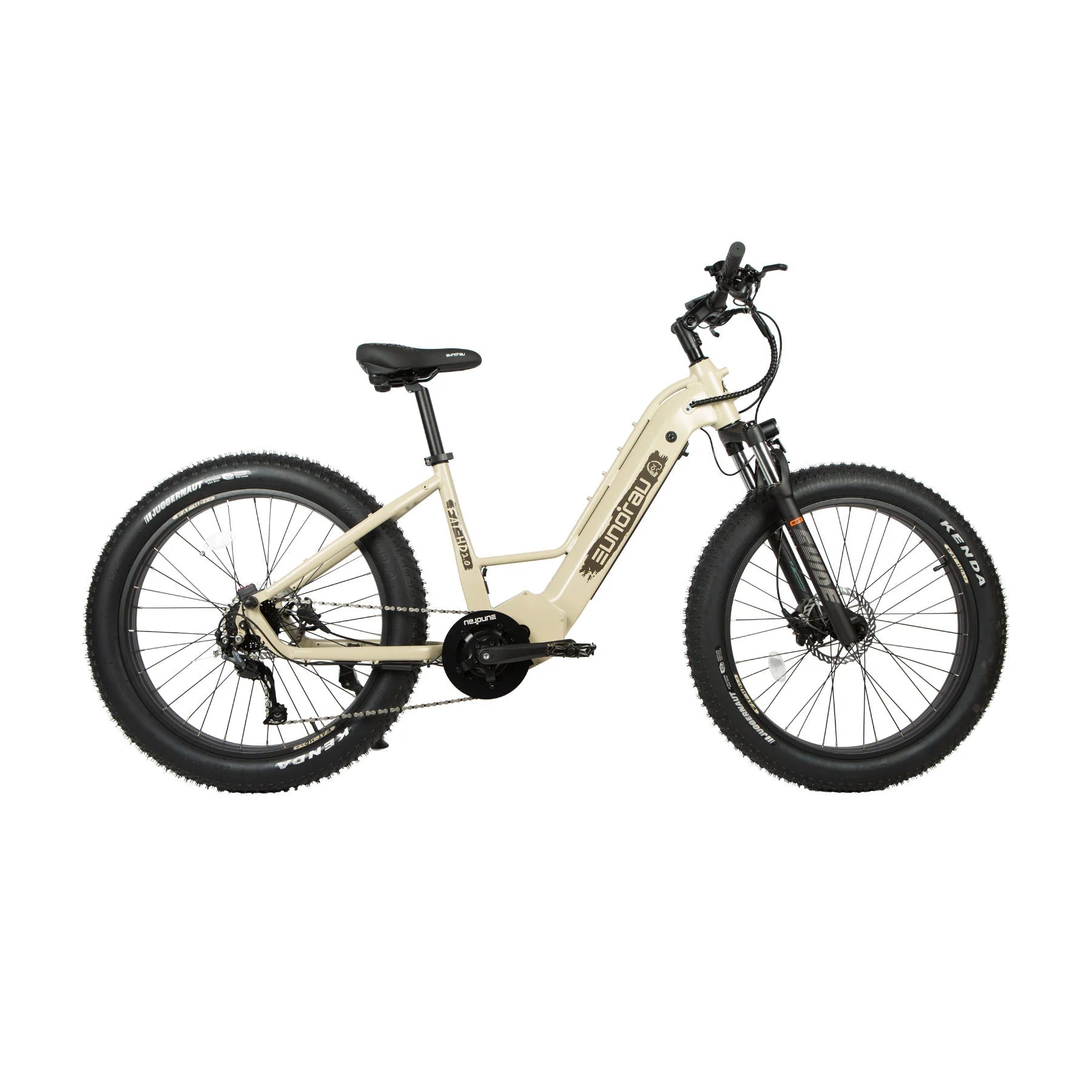 EUNORAU FAT-HD 2.0 Electric Bike – 1000W Mid-Drive Fat Tire eBikeEvolveRide