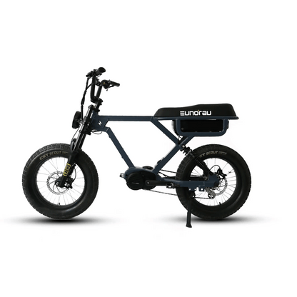 EUNORAU Flash Foot Plates Pedals Set for Electric BikeEvolveRide