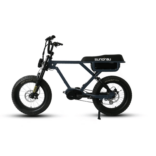 EUNORAU Flash Foot Plates Pedals Set for Electric BikeEvolveRide