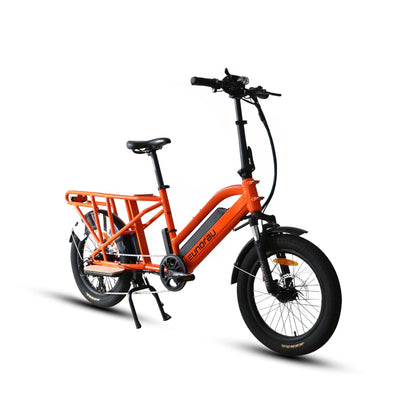 EUNORAU G30-CARGO Electric Bike – 750W Long-Range Utility eBikeEvolveRide