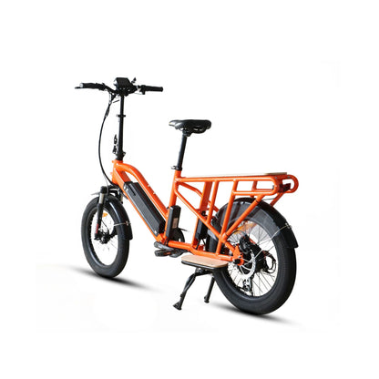 EUNORAU G30-CARGO Electric Bike – 750W Long-Range Utility eBikeEvolveRide