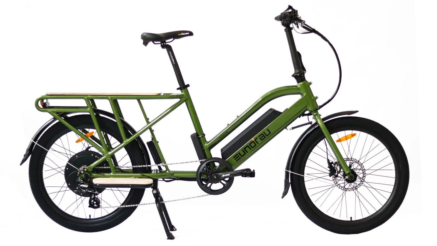 EUNORAU MAX-CARGO Electric Bike – 750W Long-Tail Utility eBikeEvolveRide