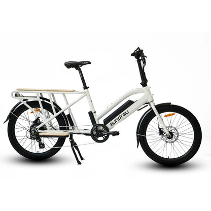 EUNORAU MAX-CARGO Electric Bike – 750W Long-Tail Utility eBikeEvolveRide