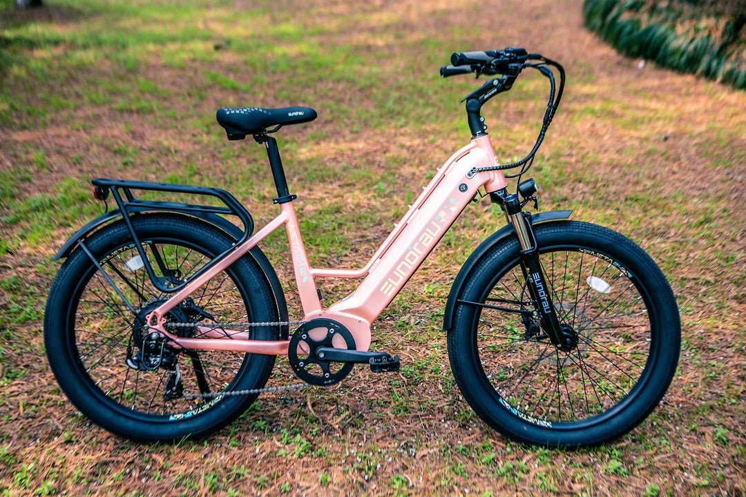 EUNORAU META 24-ST 2.0 Electric Bike – 500W Step-Thru City Commuter eBikeEvolveRide