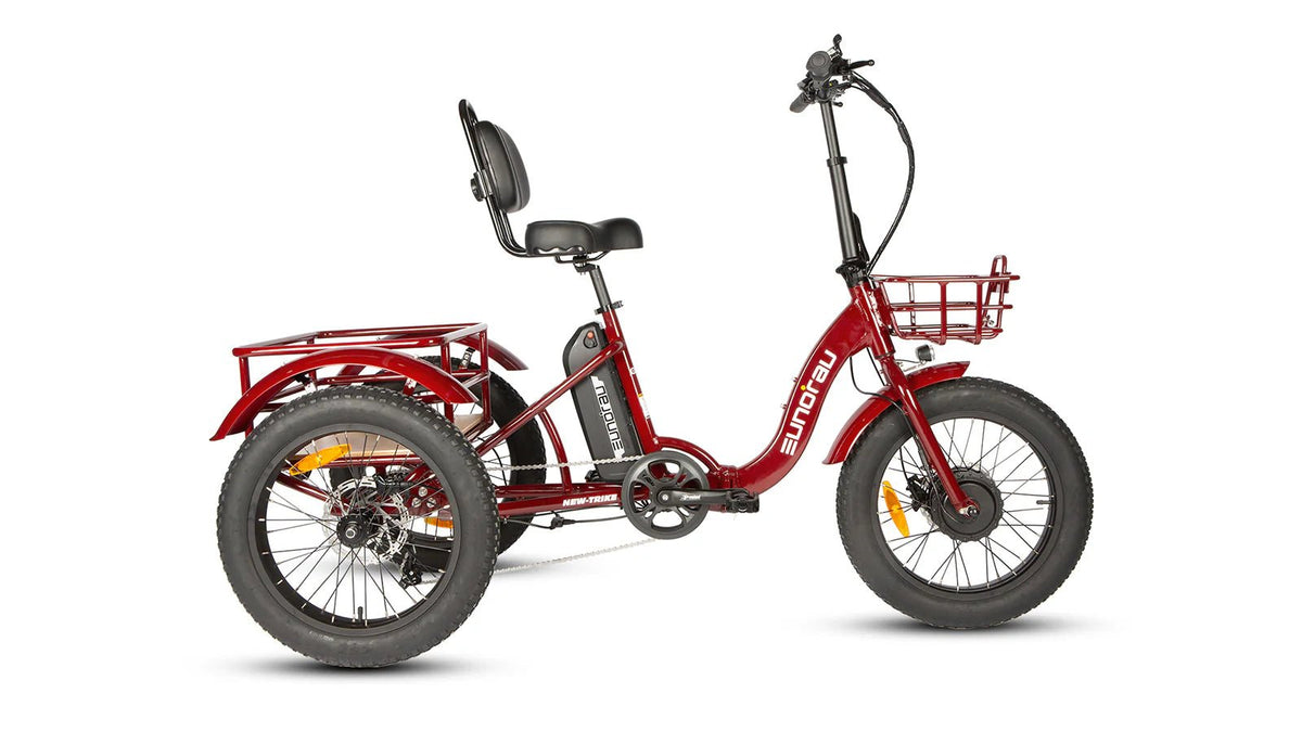 EUNORAU NEW-TRIKE 2.0 Electric Trike – 750W Fat Tire Cargo eTrikeEvolveRide