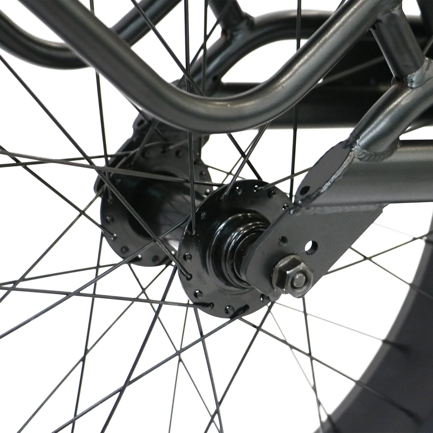 EUNORAU Single Wheel Cargo Trailer – Heavy-Duty Fat Tire Bike TrailerEvolveRide