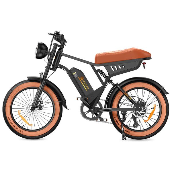 isinwheel R6 1000W Retro Electric BikeElectric BikeEvolveRide