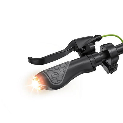 isinwheel S10Plus 750W Electric ScooterElectric ScooterEvolveRide