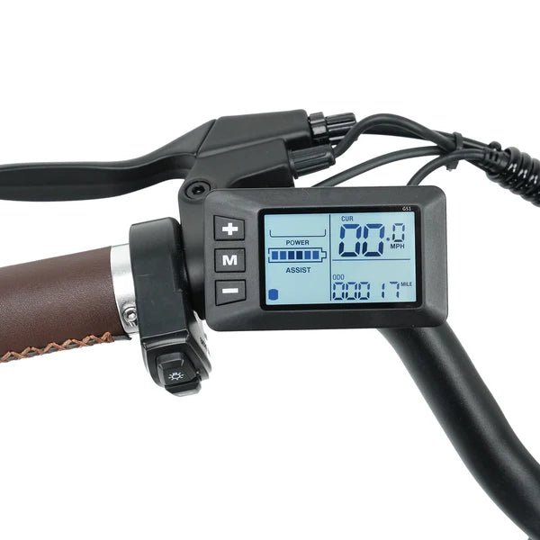 isinwheel U2 Electric Cruiser BikeElectric BikeEvolveRide