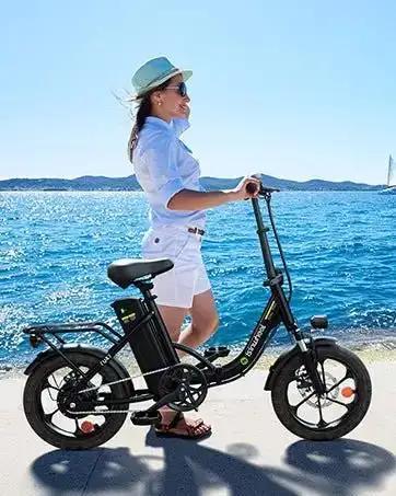 Isinwheel U4 Folding Electric BikeElectric BikeEvolveRide