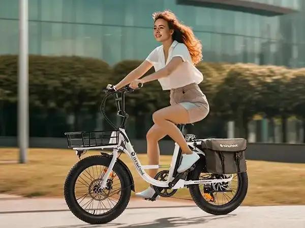 isinwheel U7 Cargo BikeElectric BikeEvolveRide