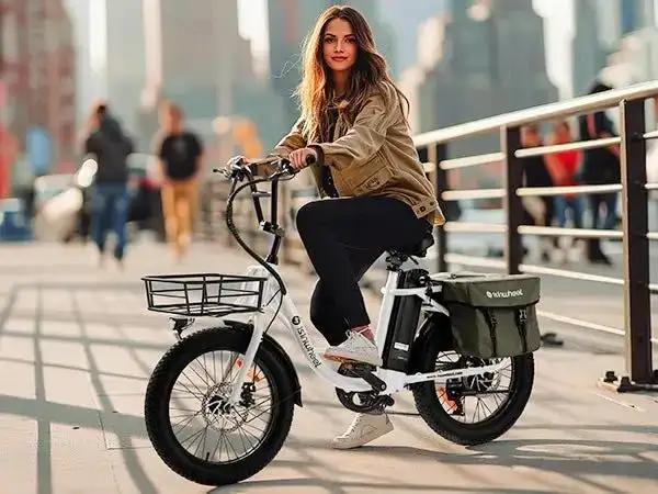 isinwheel U7 Cargo BikeElectric BikeEvolveRide