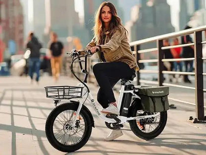 isinwheel U7 Cargo BikeElectric BikeEvolveRide