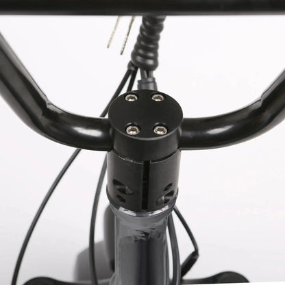 NAKTO 20" Folding OXElectric BicycleEvolveRide
